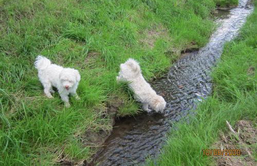 Ferienwohnung Bienwald mit Pool für 4 - 6 Personen mit 3 Schlafzimmern - Foto 15