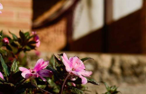 Aconchego De Minas Chalés Visconde de mauá - Photo 32