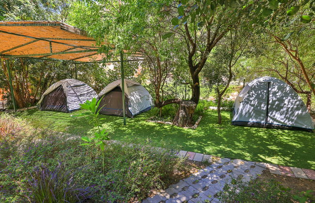 Harnup Apart - Photo 36