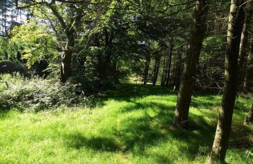 Cleeves Cabins Arran Luxury Lodge with hot tub - Foto 21