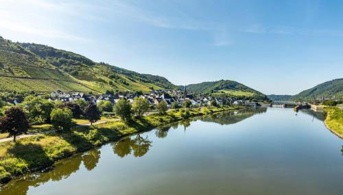 Winzerhaus Schenk - Photo 4