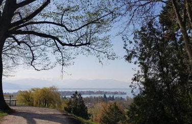 Alpenblick 3 - Foto 20