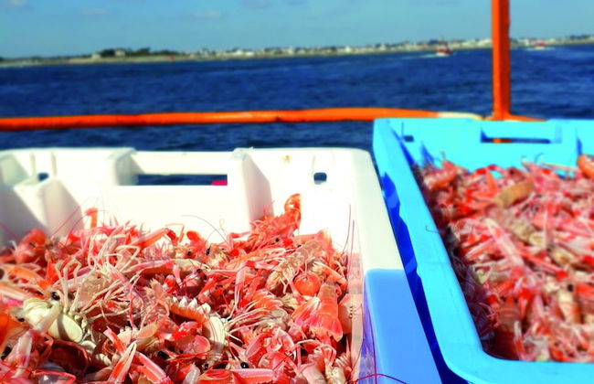 Guilvinec Parc Résidence - Foto 13