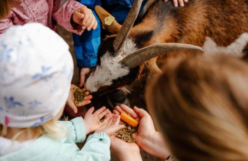 Reethaus 4B - Foto 36