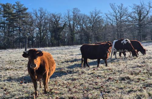 Charming House between Lot & Dordogne with Private Pool - Foto 79