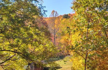 Charming Blue Ridge Cabin Private Pond and Waterfall Deer Haven by AvantStay - Foto 16