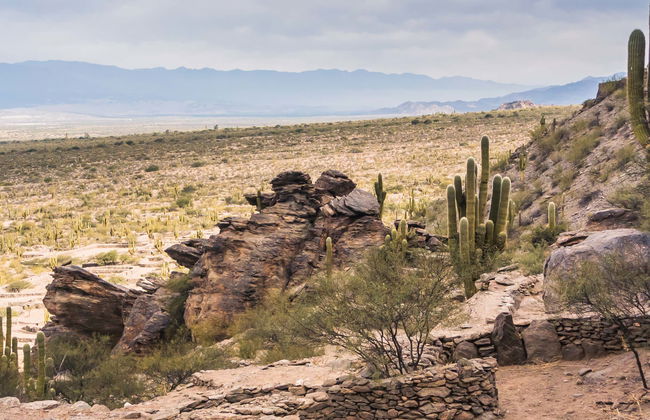 Excursión a Tafí del Valle y ruinas de Quilmes + Visita a una bodega - Foto 11