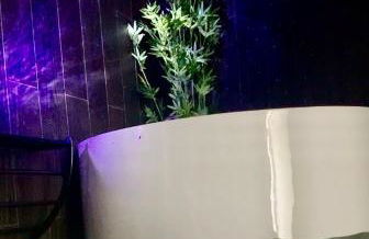 L Emeraude des marais loveroom Bourges - Foto 8