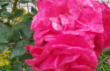 Residencial da Praia 4 - Foto 13