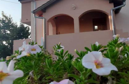 Apartments Cherry - Photo 1