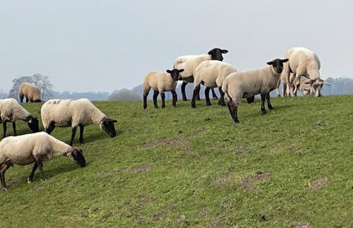 Uhlenhoff Boyken - Photo 7