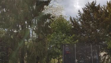 le petit boudoir - Foto 5