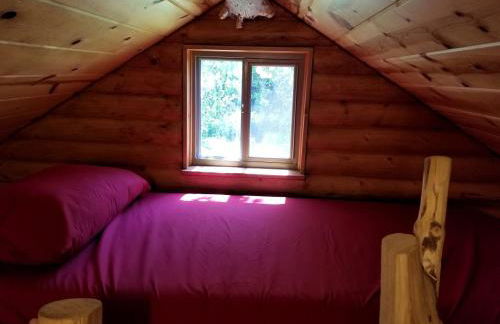 Cozy Creekside Cabin Rental for a Secluded Weekend Getaway in Wisconsin - Foto 12