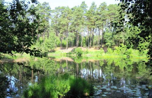 "Ferien Nord-Nordost" Wooster Teerofen "Am Walde" Ferienhaus Komfort - Foto 14