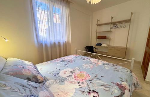 Clorofilla - Foto 12