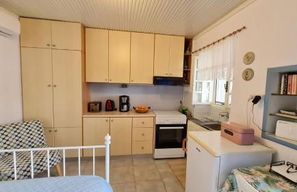 Little Blue - Photo 6