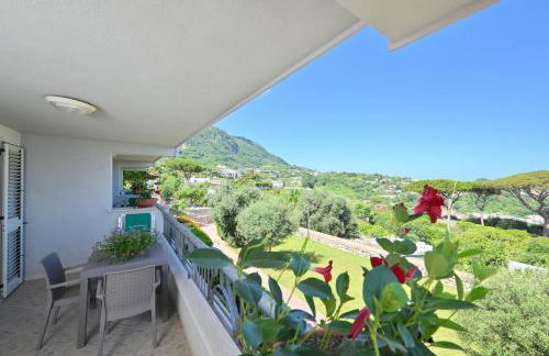 Appartamenti Ischia la Sentinella - Foto 39