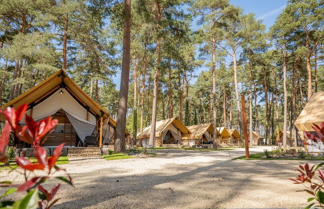 Chalet With air Conditioning 16 km From Maastricht - Foto 29