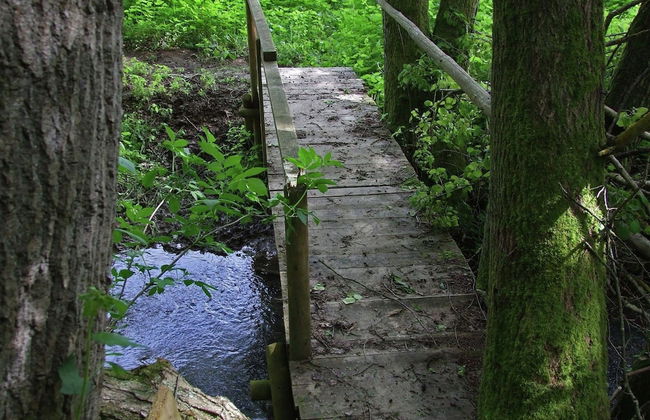 Idyllic Studio near Forest - Foto 24