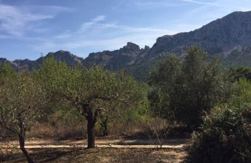 One Bed Apartment overlooking Jalon Valley, Costa Blanca - Foto 25