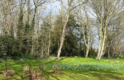 The Mulberry Apartment at Langford Hall - Photo 10