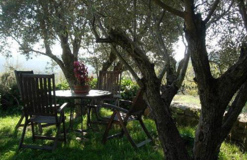 Casa El Rey - Foto 6