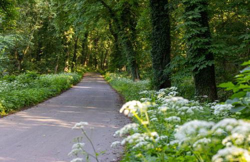 Wellnessparadies mit Sauna und Whirlpool - Foto 79