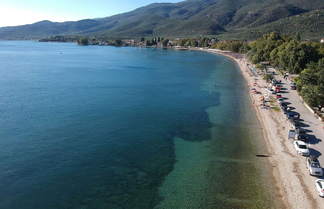 Pandora Studios - Foto 21