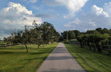 Berrywood Cottage - Photo 16