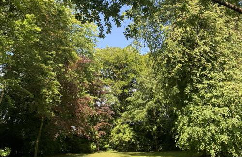 Luxury Escape with Hot Tub in County Antrim - Foto 52