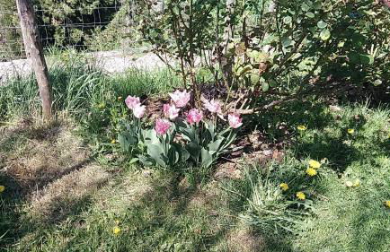 Casa Di Cinti - Foto 25