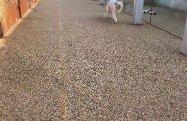 Cozy Flat with Stunning Views - Foto 45