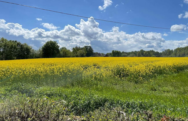 6 Person Holiday Home in Skivarp-by Traum - Foto 16