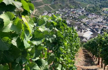 Relaxen im Weindorf Mayschoß Fewo 1 - Foto 2