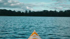 Bujanie w sitowiu - Foto 4