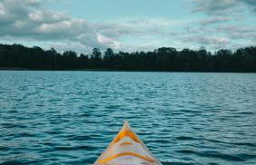 Bujanie w sitowiu - Foto 4