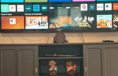 Panorama-Refugium - Foto 17