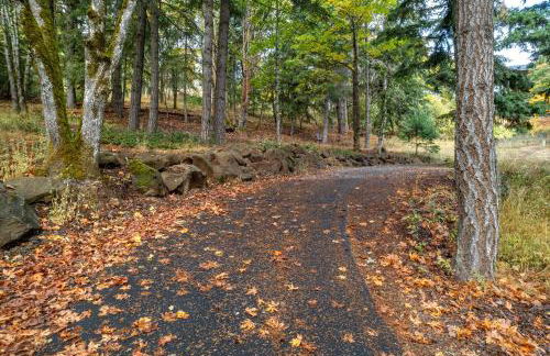 Evergreen Retreat AB 30 Night Minimum home - Foto 51