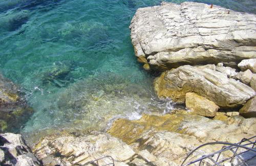 Cota Quinta - Foto 41