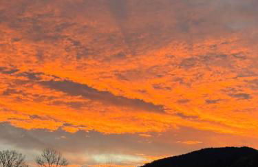 Ausblick apartments - Foto 9