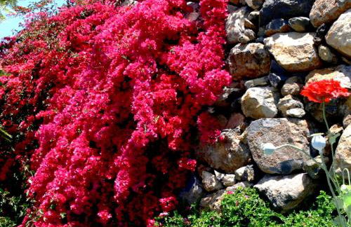 Villa Finca Tijarafe mit beheiztem, abdeckbarem Pool - Foto 38