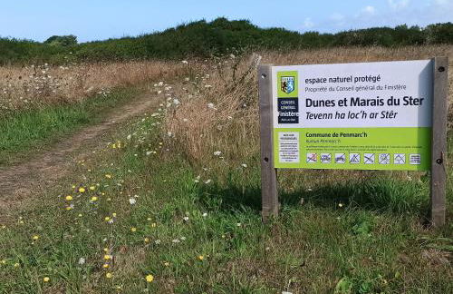 Charmante longère bigoudène - Photo 42