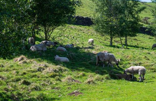 2 Bed in Low Row oc-ds1010 - Foto 28