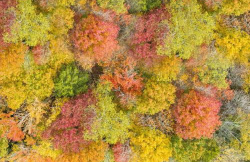 Vermont Retreat with private pool and tennis court - Foto 27