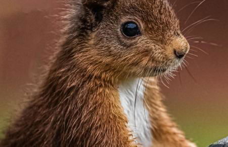 Settlers Lodge - Foto 28