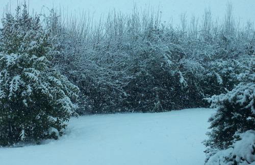 Società agricola le more Agriturismo La Dondina - Photo 21