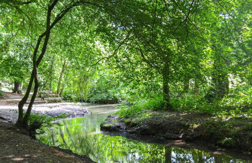 Misdale House - Foto 20