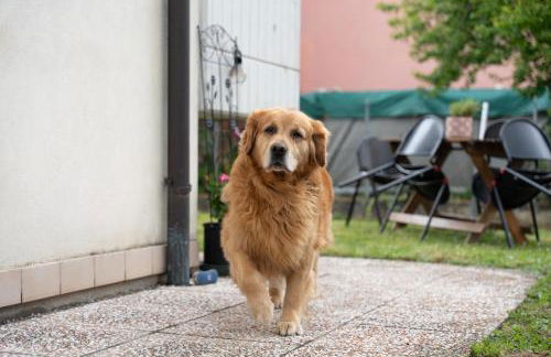 Marina's Venice garden - Foto 22