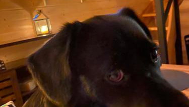 Cicha przystań domek na Kaszubach - Foto 2