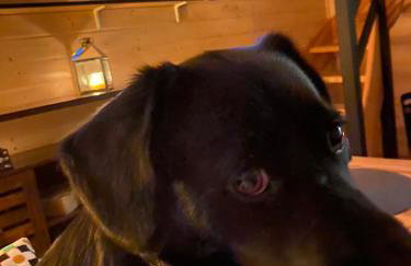 Cicha przystań domek na Kaszubach - Foto 2